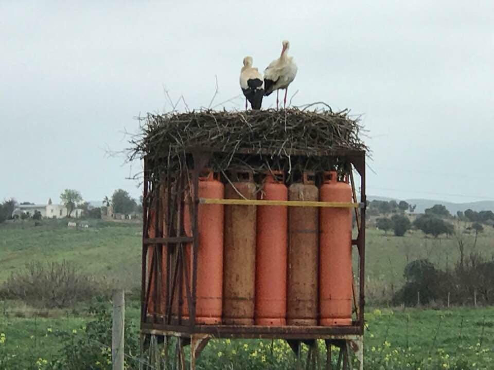 Quinta De Santo Antonio Ac2 Διαμέρισμα Λάγος Εξωτερικό φωτογραφία